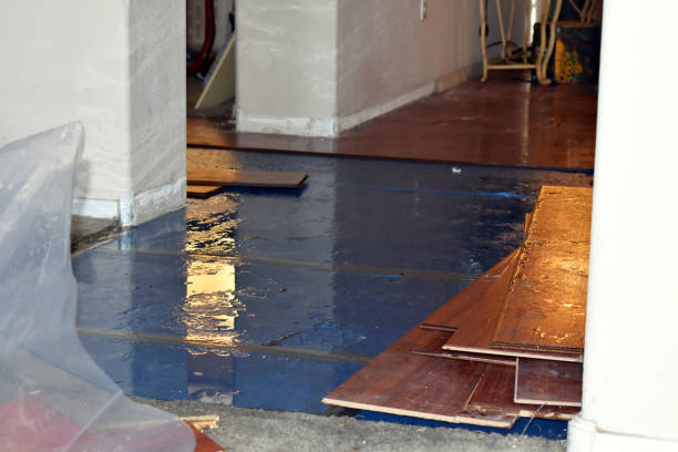 Professional Burst Pipe Cleanup technician working in Russells Point, OH